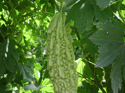 ҕ�l: �r(n��ng)�I(y��)���g(sh��)�����������ϺͿ��